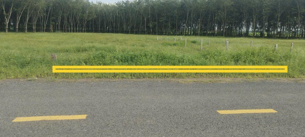 Đất thổ cư 3859m² tại Dương Minh Châu, Tây Ninh chỉ 1.8 tỷ - Cơ hội đầu tư hấp dẫn!