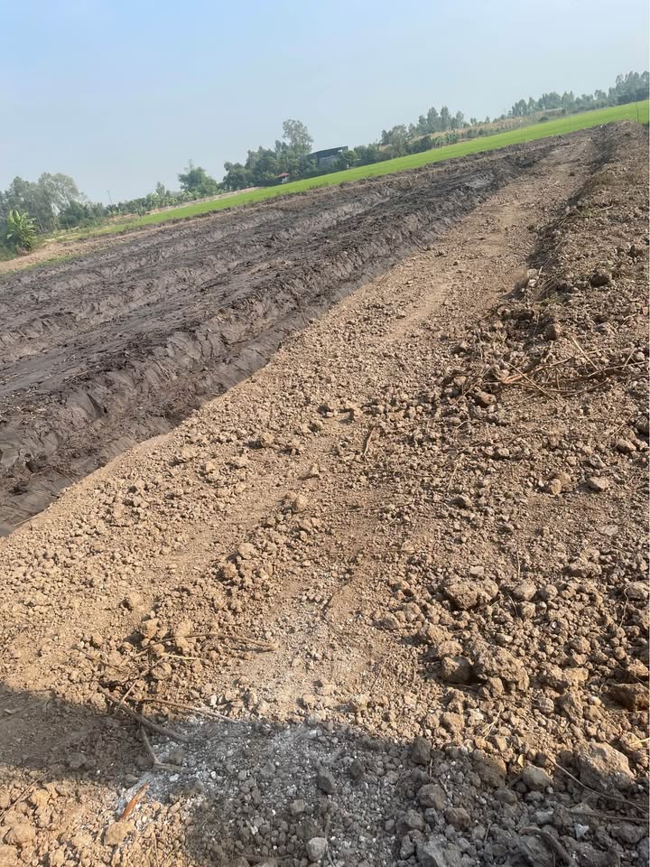 Đất nền 750m² tại phường Mỹ Trà, Cao Lãnh - Giá chỉ 460 triệu, cơ hội đầu tư hiếm có!