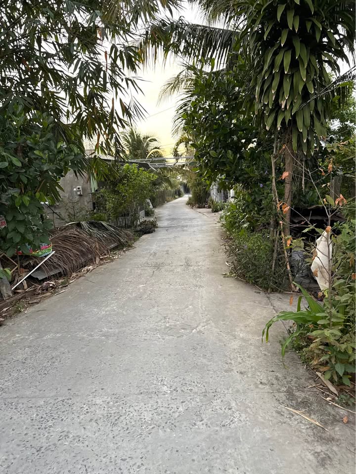 Nhà đẹp đường đal gần cầu Cả Oanh, xã Phương Trà, 172.5m² giá 1.25 tỷ - Sẵn sàng vào ở!