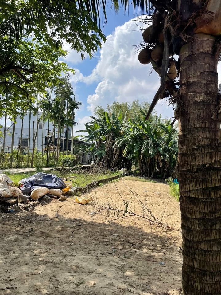 Đất nền Điện Nam Bắc 100m² giá 1.5 tỷ - Ô tô vào tận nhà!