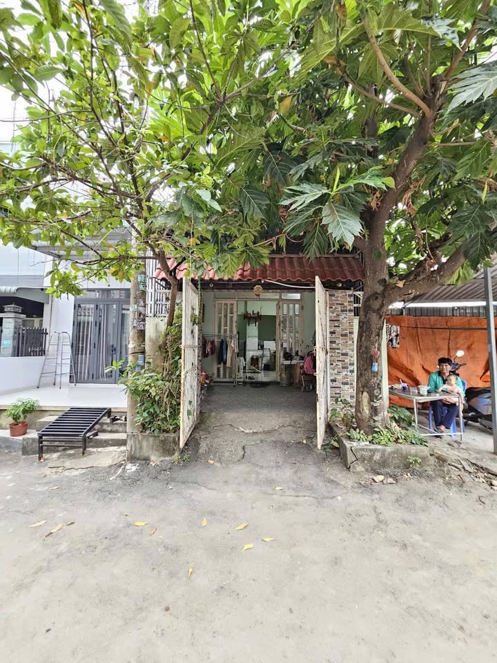 Nhà cấp 4 tại Bình Thắng, Dĩ An 74m² giá 3.8 tỷ - Sẵn sàng vào ở ngay!