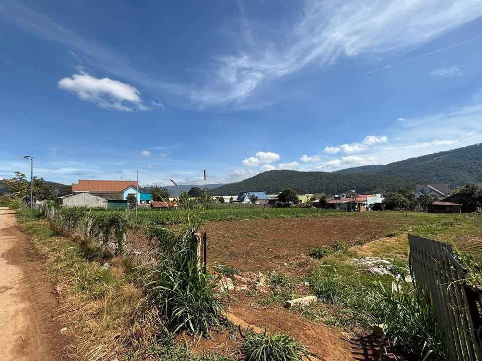 Đất nền Hiệp An, Đức Trọng 583m² giá 3.3 tỷ - Đầu tư sinh lời tuyệt vời!