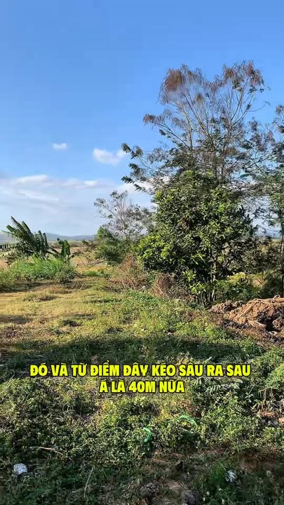 Đất chính chủ mặt tiền tỉnh lộ 671 tại xã Đoàn Kết 400m² - Giá siêu rẻ, cơ hội đầu tư tốt!