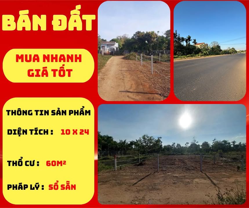 Đất nền 240m² tại xã Cuor Đăng, huyện Cư M'gar - Giá chỉ 850 triệu, chính chủ bán gấp!