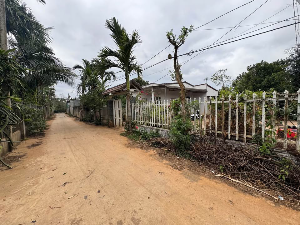 Đất mặt tiền KA6 Tân An BMT 115m² giá 1.3 tỷ - Đầu tư sinh lời ngay!