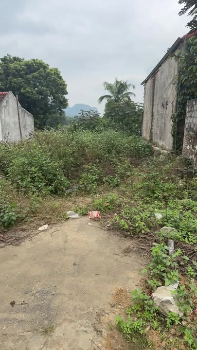 Đất thổ cư 200m² tại Đường mòn Hồ Chí Minh, Cẩm Thủy - Giá bán thỏa thuận, vị trí đắc địa!