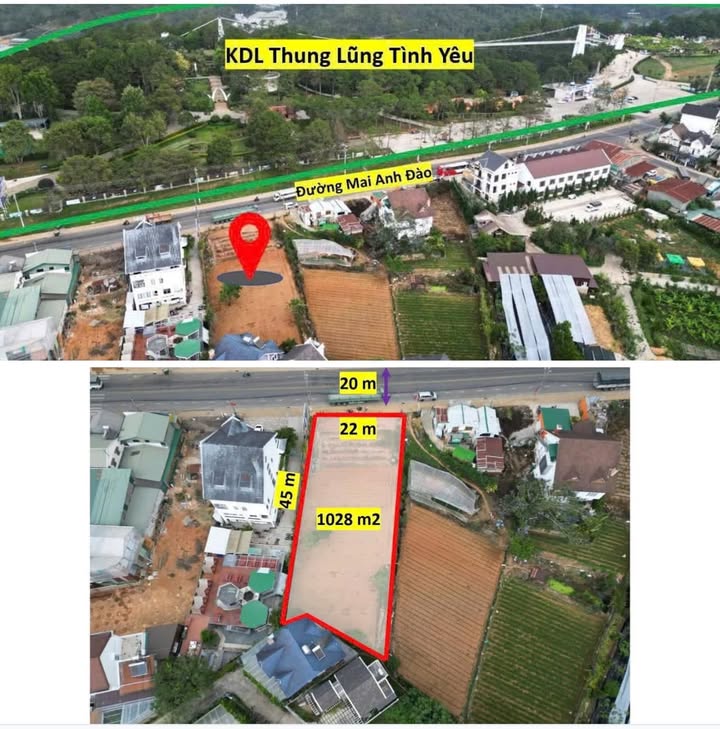 Đất mặt tiền Mai Anh Đào Đà Lạt 1028m² giá 60 tỷ - Cơ hội đầu tư hấp dẫn!