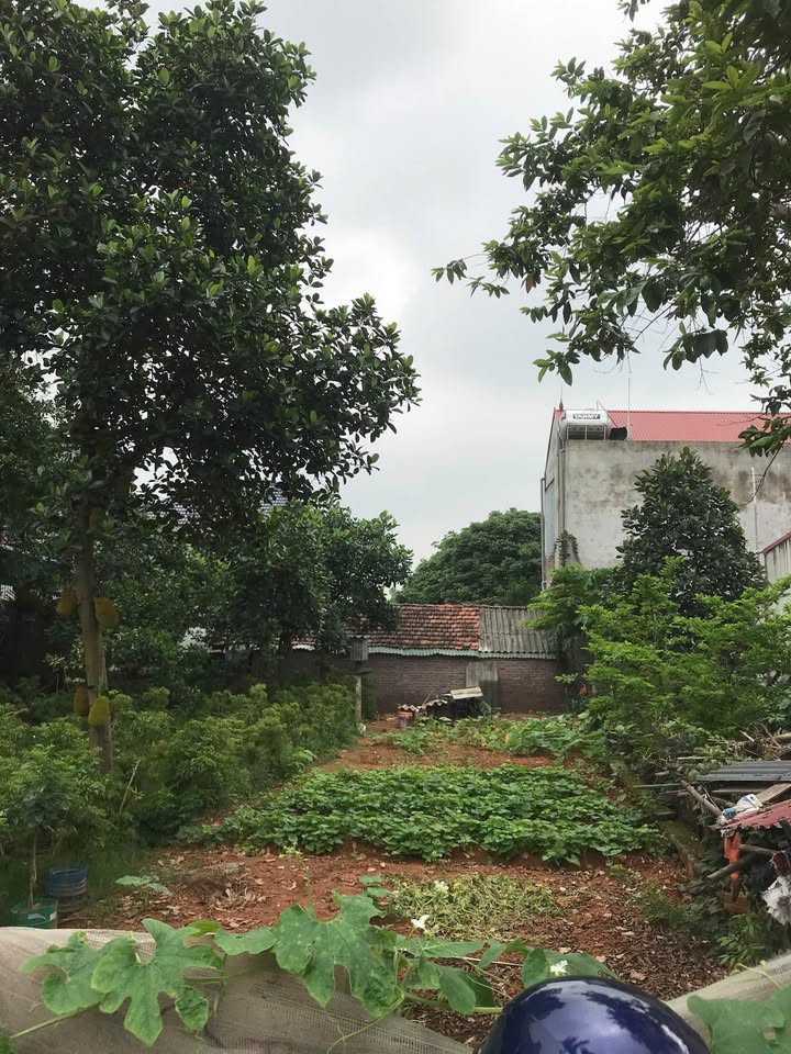 Đất nền TdP Lai Sơn Vĩnh Yên 120m² giá 1.9 tỷ - Mặt tiền rộng, đường thông thoáng!