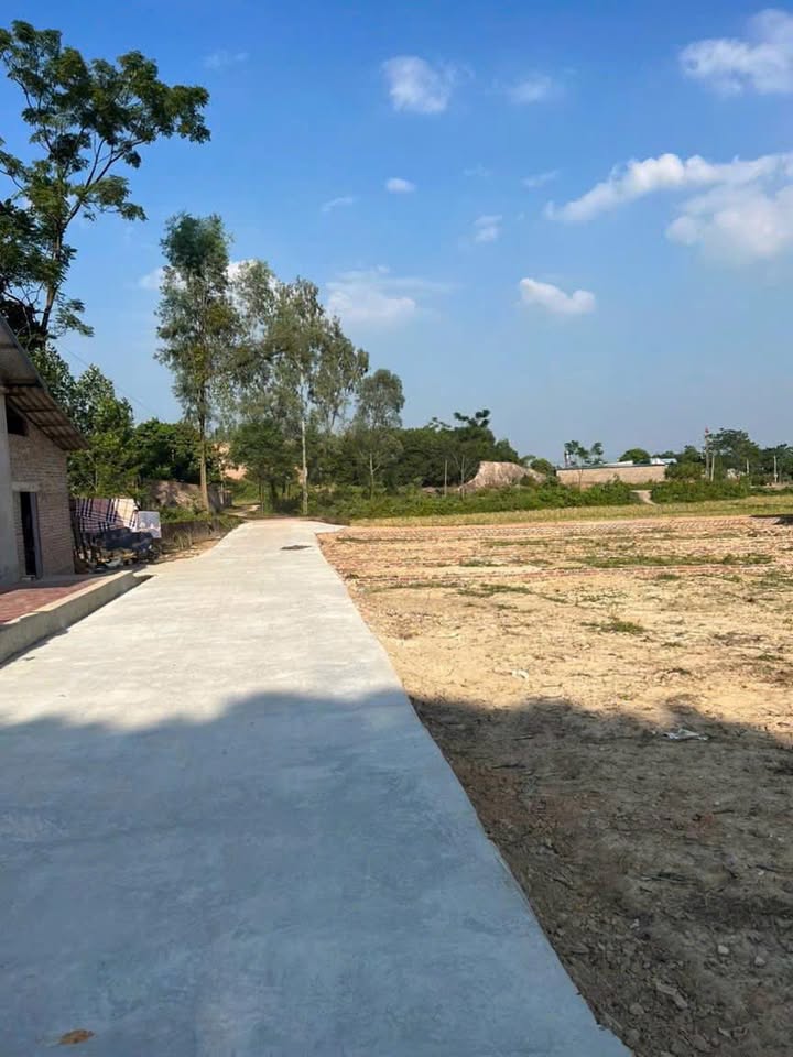 Đất nền tại Thị trấn Tam Sơn, Huyện Sông Lô, 500m² - Cơ hội đầu tư hấp dẫn!