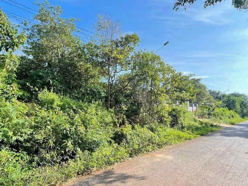 Lô đất 1.344m² tại Buôn Huê - Giá chỉ 1.399 tỷ - Đầu tư sinh lời ngay!