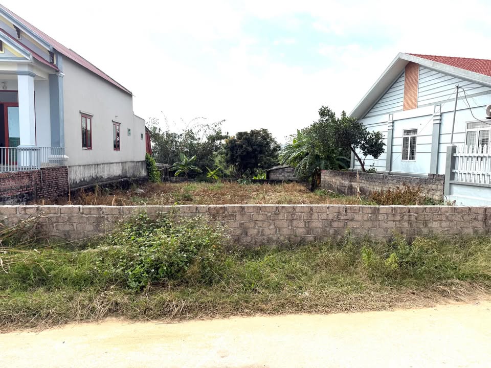 Đất nền Trần Hưng Đạo, Hải Phòng 400m² giá 1 tỷ - Cơ hội đầu tư hiếm có!