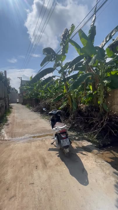 Lô đất 62m² tại Vĩnh Hưng, Bình Giang chỉ 880 triệu - Sổ đỏ chính chủ!