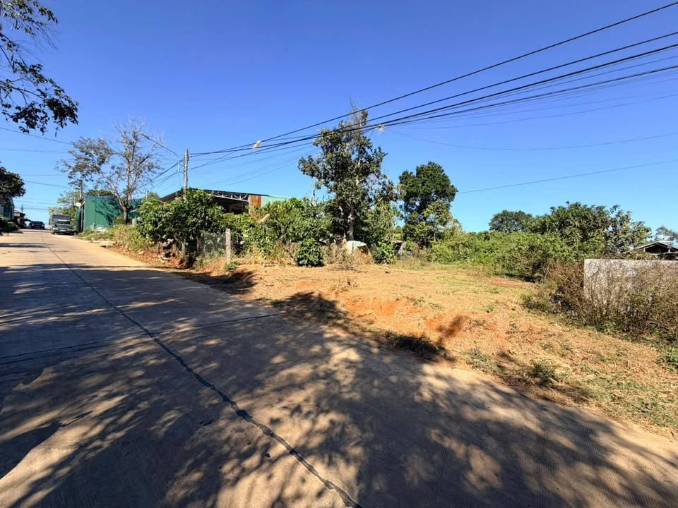 Đất nền hẻm đường Bùi Dự, phường Hoa Lư, 500m² giá 2.68 tỷ - Cơ hội đầu tư hấp dẫn!