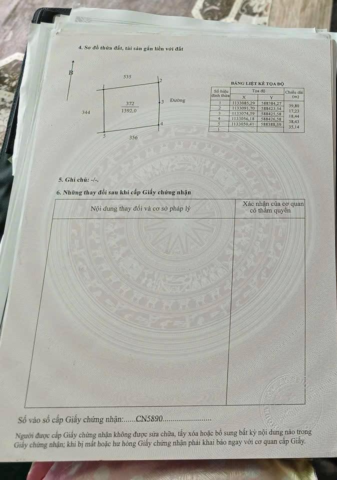 Đất nền 1300m² tại Tân Nhuận Đông - Giá chỉ 780 triệu, hướng Đông lý tưởng!