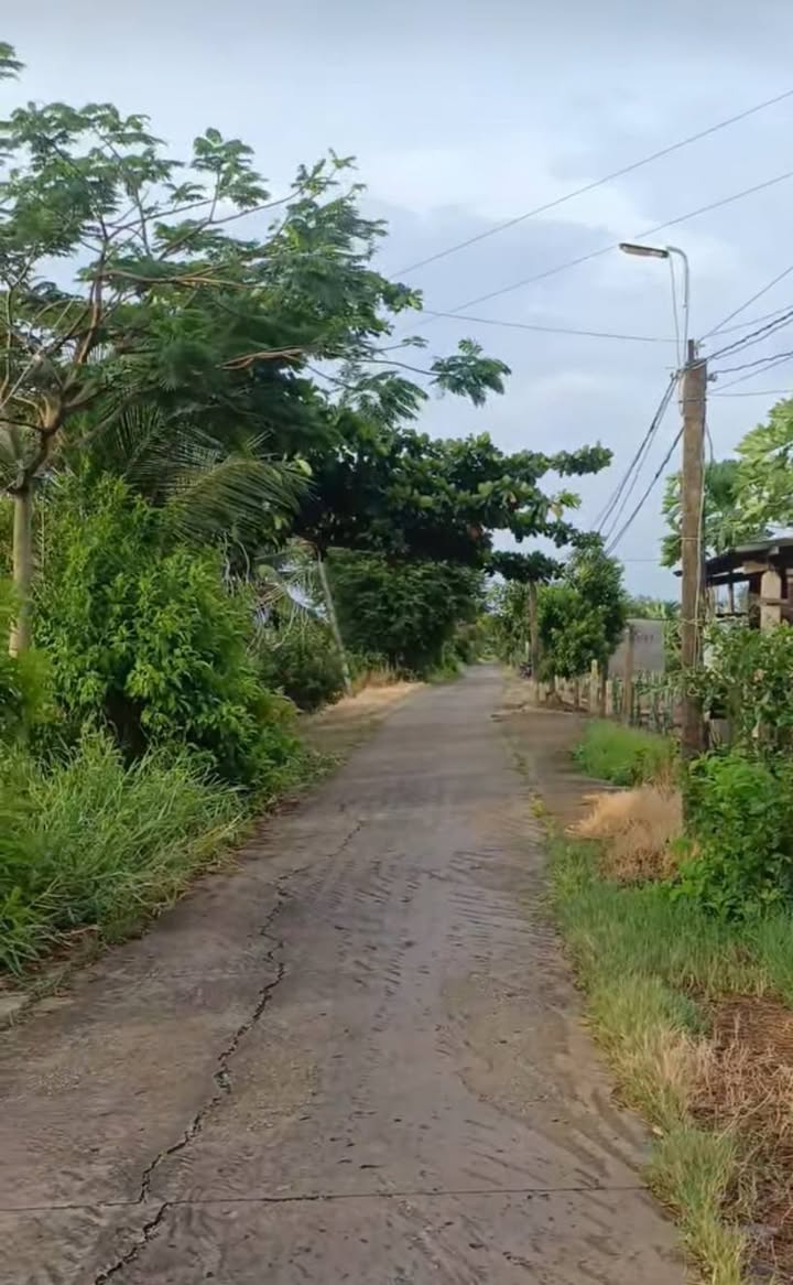 Đất lúa hai mặt tiền 1330m² tại Dương Xuân Hội, Châu Thành - Chỉ 850 triệu VND!