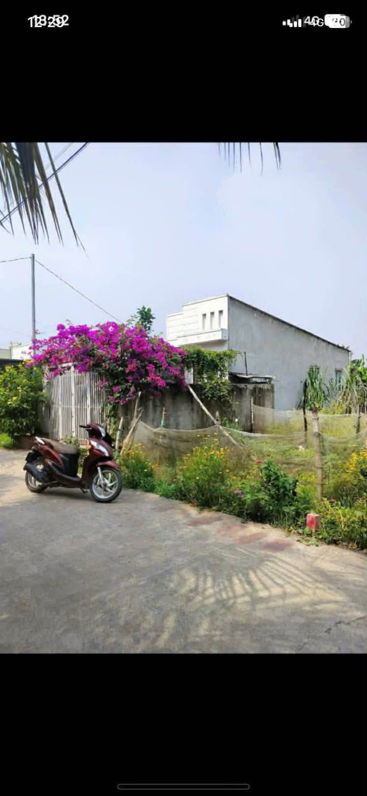 Nhà bán tại Huyện Đức Hòa, Long An 200m² giá 2 tỷ - Sổ hồng chính chủ, thương lượng tốt!