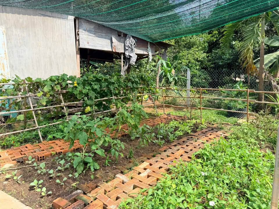 Bán nhà vườn thổ cư 865m² tại Phường Xuân Lập, Long Khánh - Giá chỉ 1.86 tỷ VND!