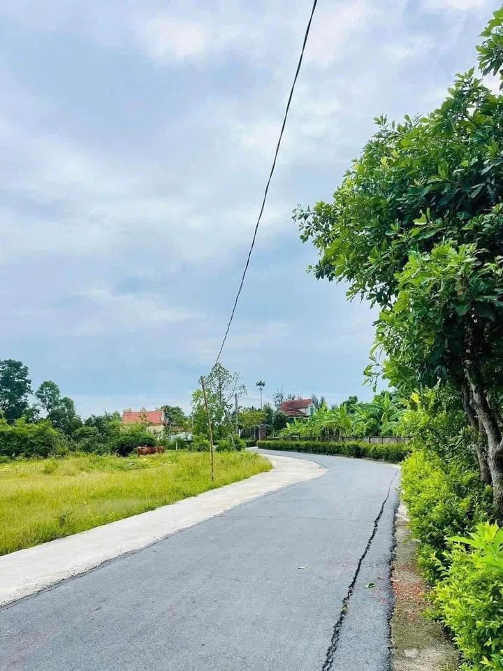 Đất nền Thôn Trung Phú, Thạch Thắng 162m² giá chỉ 7xx triệu - Hướng Đông thuận lợi đầu tư!