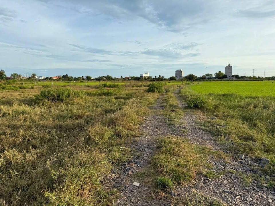 Đất nông nghiệp tại Ninh Thuận, Hàm Chính 7200m² giá 375 triệu - Đường ô tô tận đất!