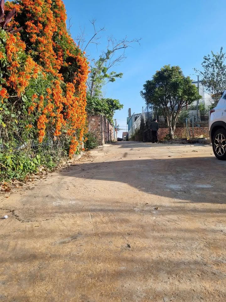 Đất nền 240m² tại Đức Trọng, Lâm Đồng chỉ 1.25 tỷ - Cơ hội đầu tư sinh lời!