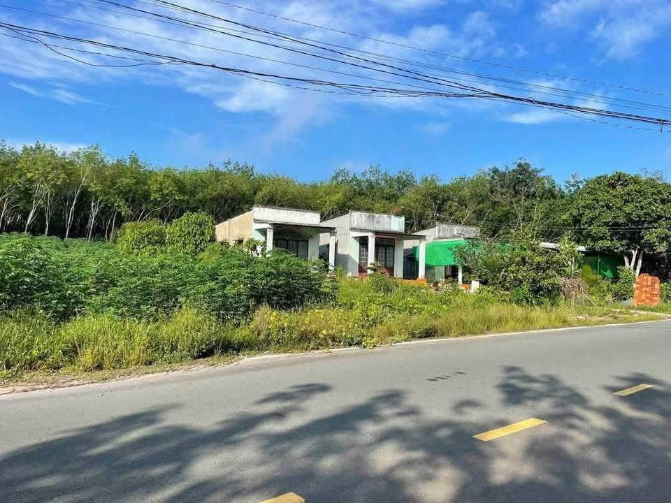 Đất Liền Kề Đường DH01, Phường Minh Thành, 365m² - Xây Trọ Kinh Doanh Ngay!