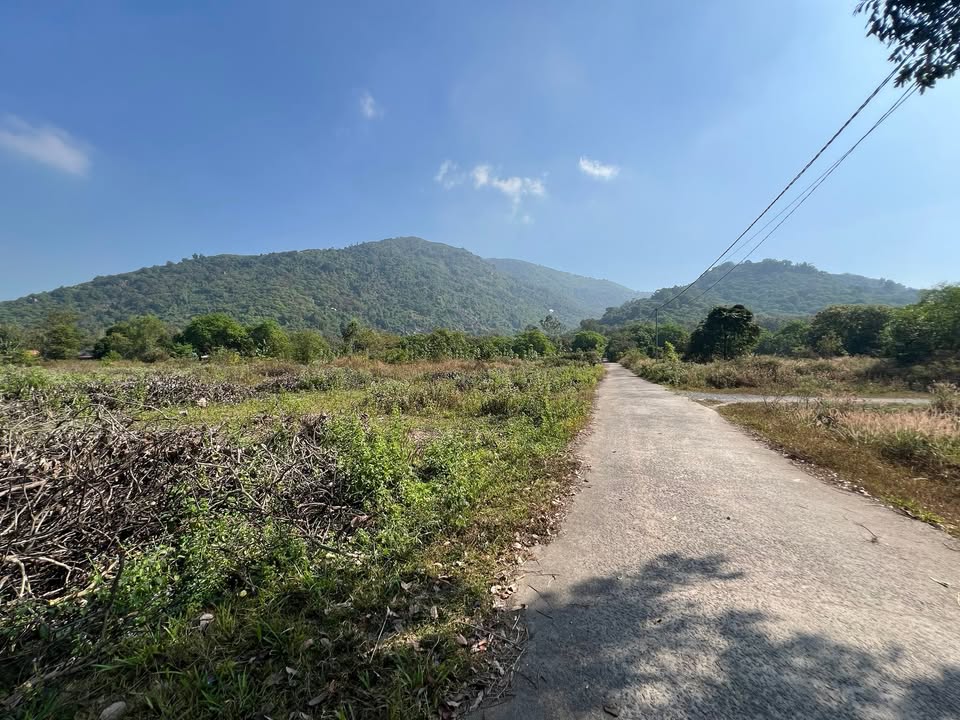 Lô đất 7541m² tại xã Suối Cát, Xuân Lộc chỉ 75.41 tỷ - Sổ hồng riêng, mặt đường bê tông!