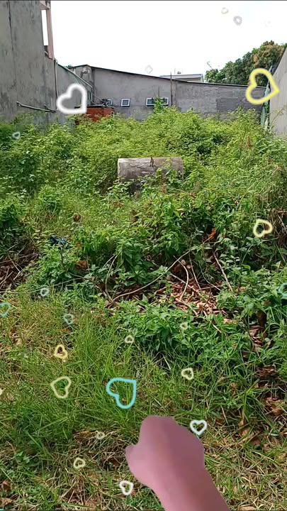 Đất mặt tiền đường nhựa Định An Trà Cú 200m² giá 1.5 tỷ - Cơ hội đầu tư tuyệt vời!