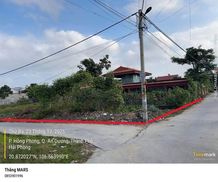 Đất ở Hoàng Lâu, Hồng Phong, An Dương 486,5m² giá 9 tỷ - Sổ đỏ chính chủ, pháp lý rõ ràng!