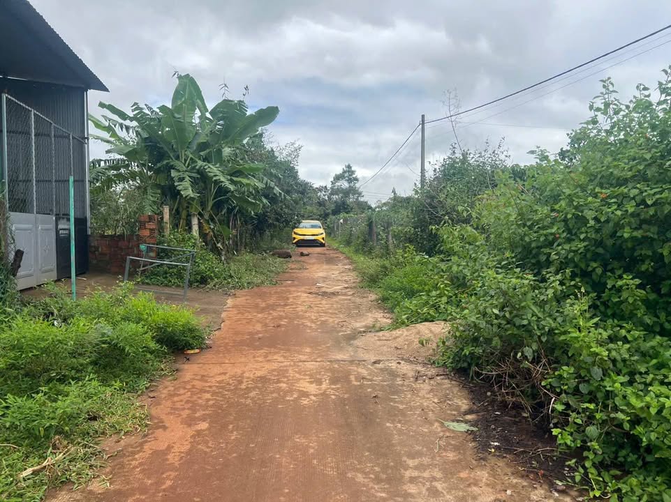 Đất nền Làng Phung, Biển Hồ, 160m² giá 335 triệu - Đầu tư sinh lời ngay!