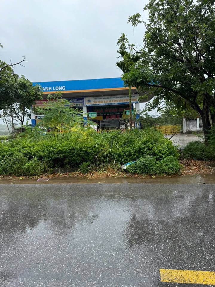 Đất nền dự án Tinh Tại Cam Lâm Vĩnh Phúc 165m² giá 700 triệu - Cơ hội đầu tư tuyệt vời!