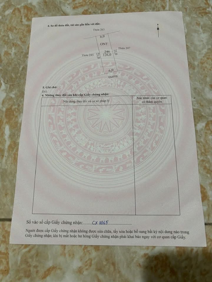 Đất nền Đồng Bông, Phú Sơn 126m² - Giá mềm, hướng Nam!