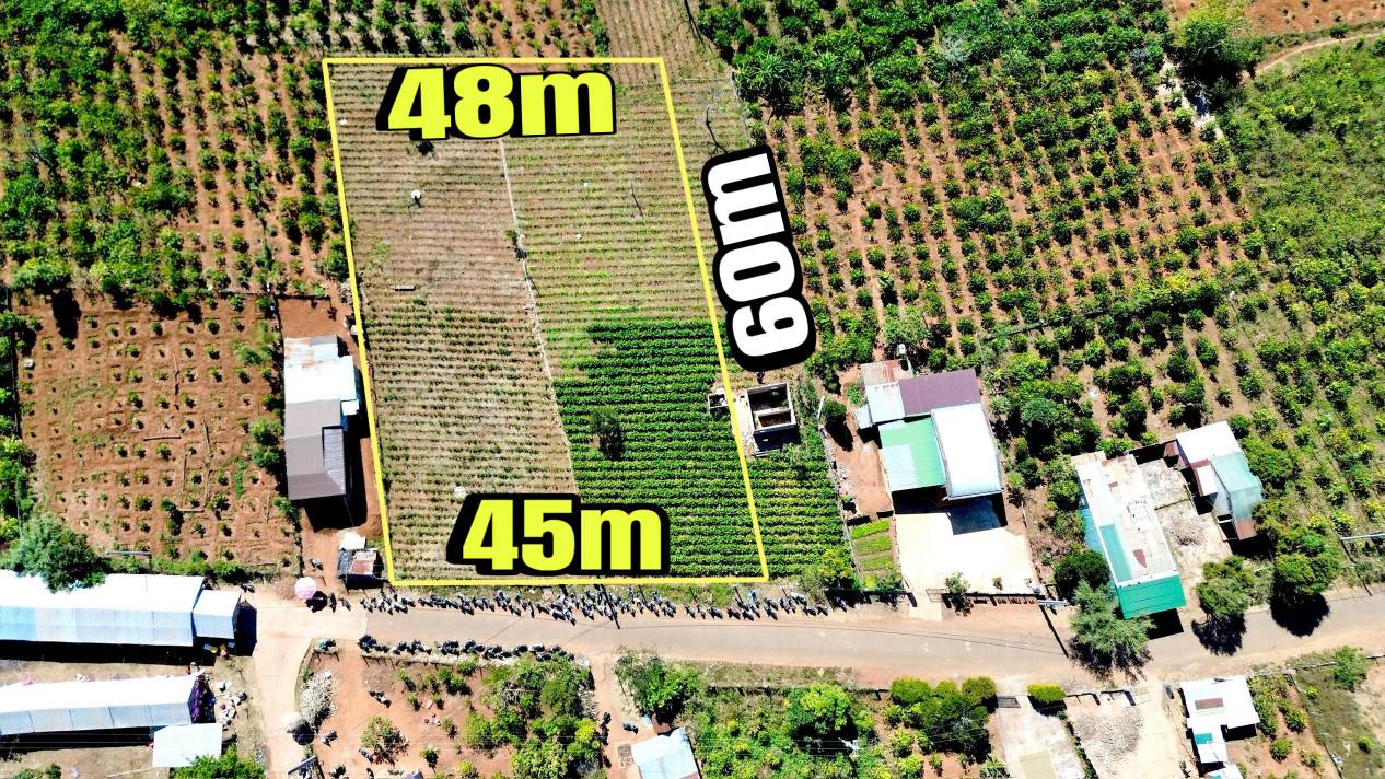 Đất Thổ Cư Thôn 10, Xã Ia Băng, Huyện Đăk Đoa 2700m² - Cơ Hội Đầu Tư Hiếm Có!