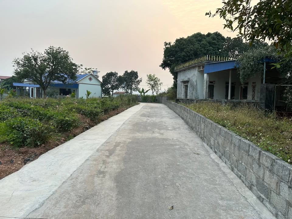 Bán lô đất thổ cư 422m² tại xã Đại Phúc, Thái Nguyên chỉ 1 tỷ - Đầu tư sinh lời tốt!