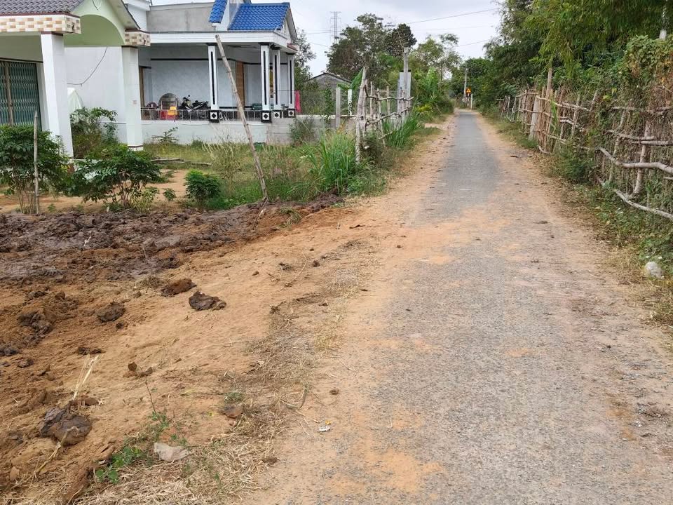 Đất mặt tiền đường Nhựt Vĩnh Long 4671m² giá 300 triệu - Cơ hội đầu tư tuyệt vời!