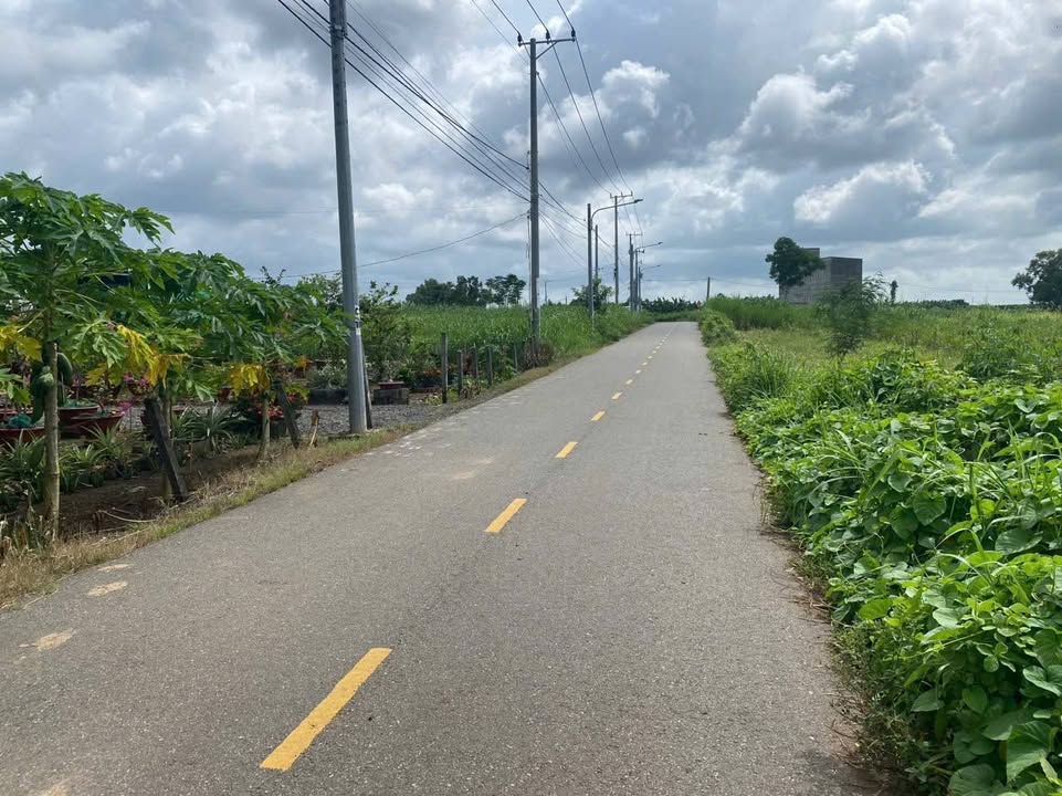 Lô đất 3 mặt tiền đường nhựa Xã Láng Dài 543m² giá 1.2 tỷ - Đầu tư tiềm năng