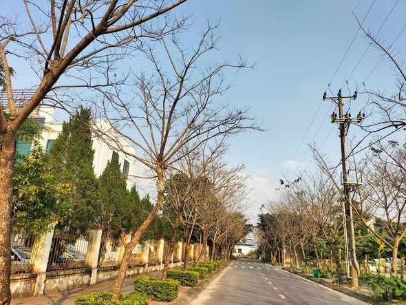 Đất nền Đầm Sen Thiên Tôn, Hoa Lư 80m² giá thỏa thuận - Vị trí đắc địa gần trung tâm!