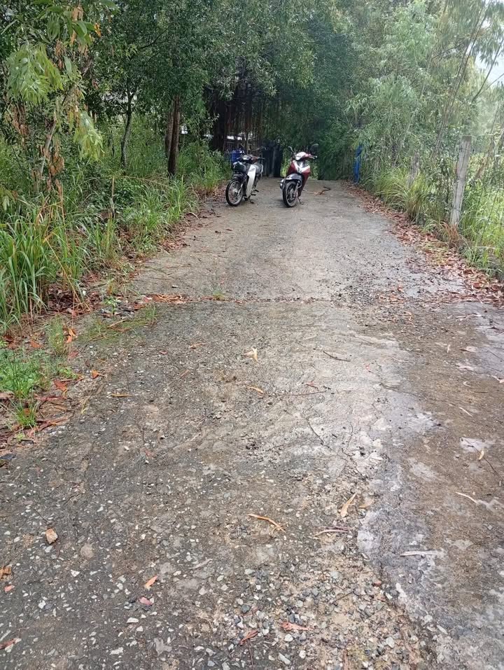 Đất nền Thái Khang Nha Trang 430m² giá 4 tỷ - Đường bê tông 5m, tiện ích đầy đủ!