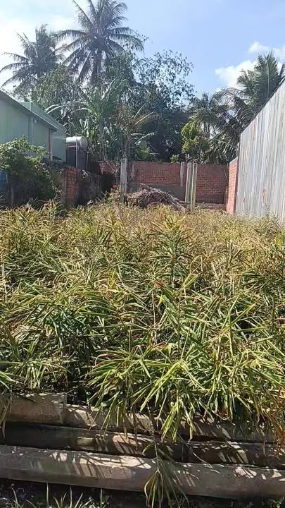 Lô đất thổ cư phường An Khê 136m² giá 490 triệu - Gần chợ, trường học, đường thông thoáng!