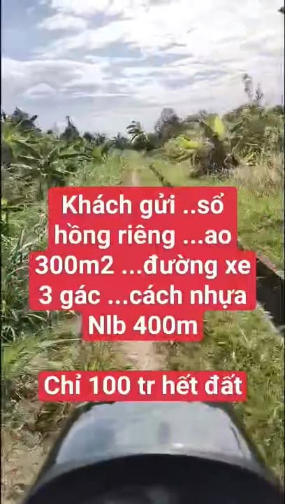Đất nền Phường Long Hoa, Hòa Thành, Tây Ninh 300m² giá chỉ 100 triệu - Sổ hồng riêng chính chủ!