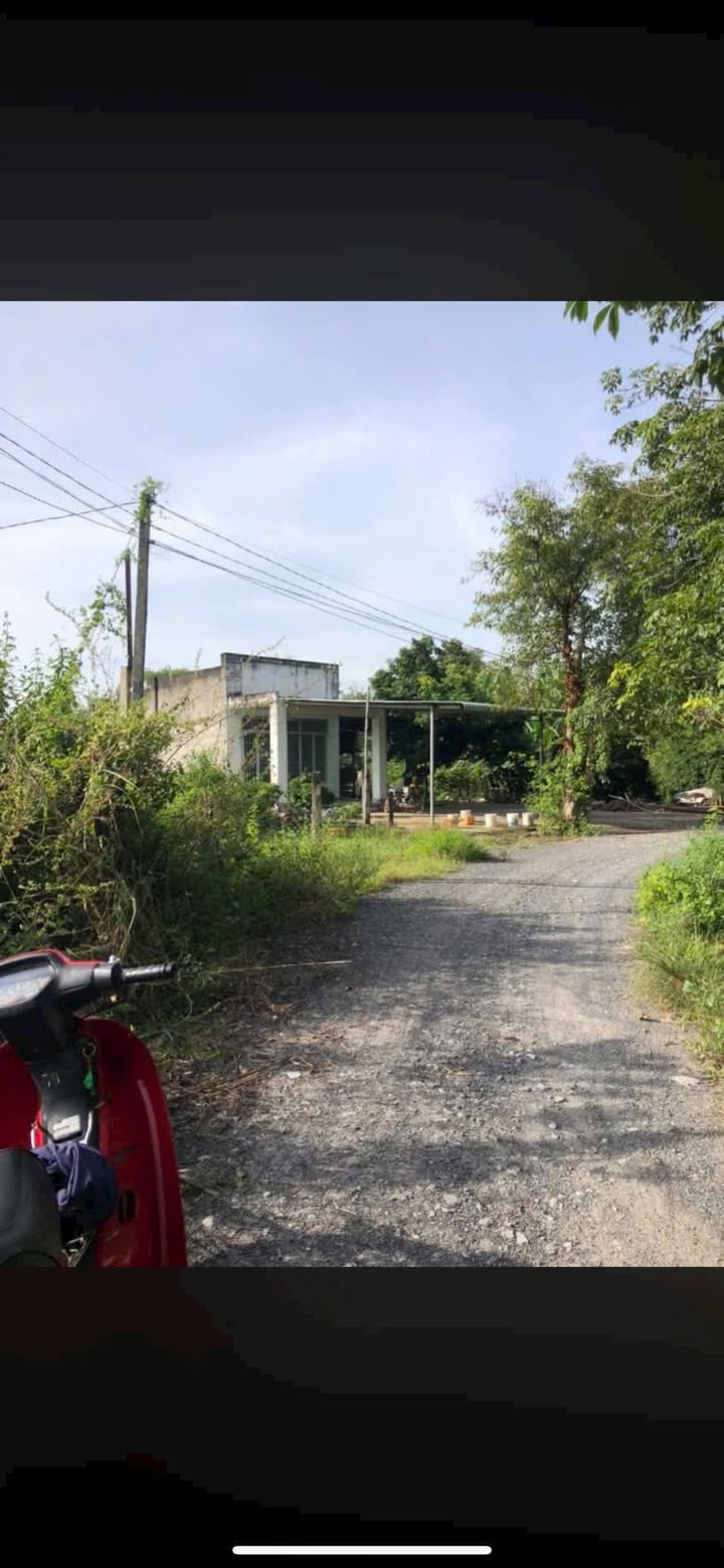 Đất nền Tây Ninh 1170m² mặt tiền đường Bời Lời - Giá chỉ 11.88 tỷ