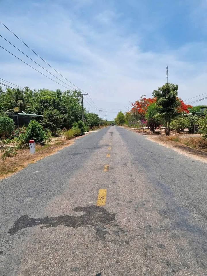 Bán đất 509m² đường Hương Lộ 23, Châu Thành, Tây Ninh - Giá chỉ 820 triệu!