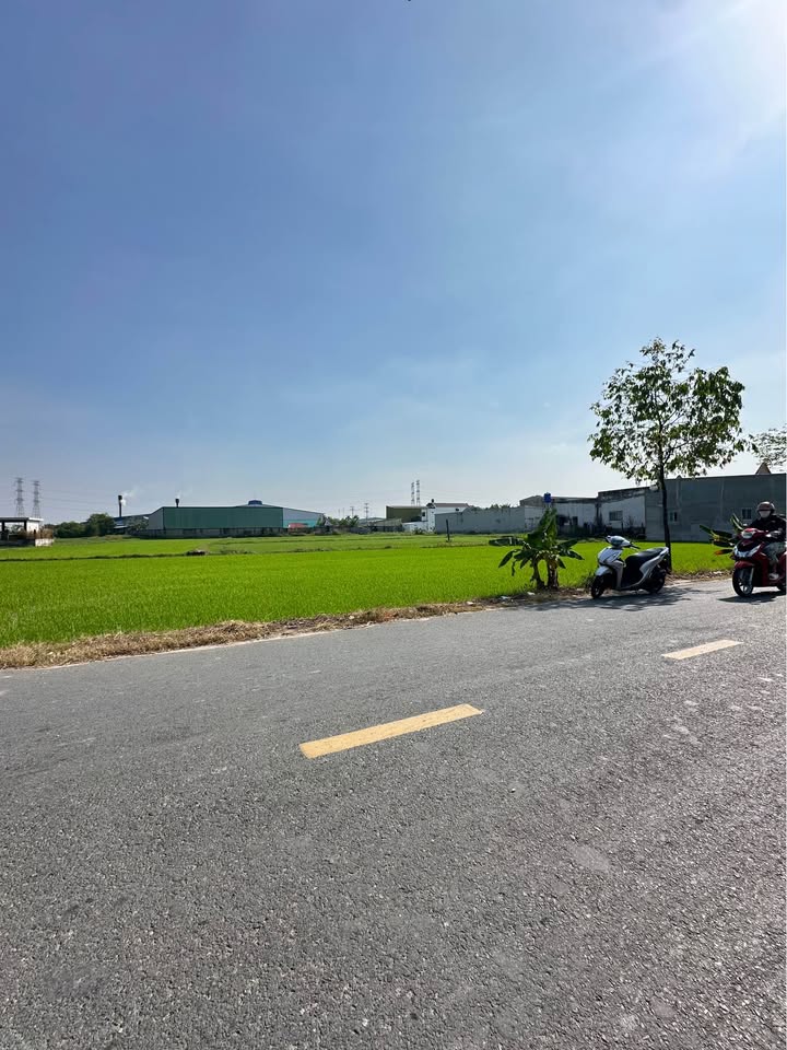 Đất nền mặt tiền kinh doanh sầm uất tại Mỹ Hạnh, Đức Hòa - 145m² chỉ 1.65 tỷ!