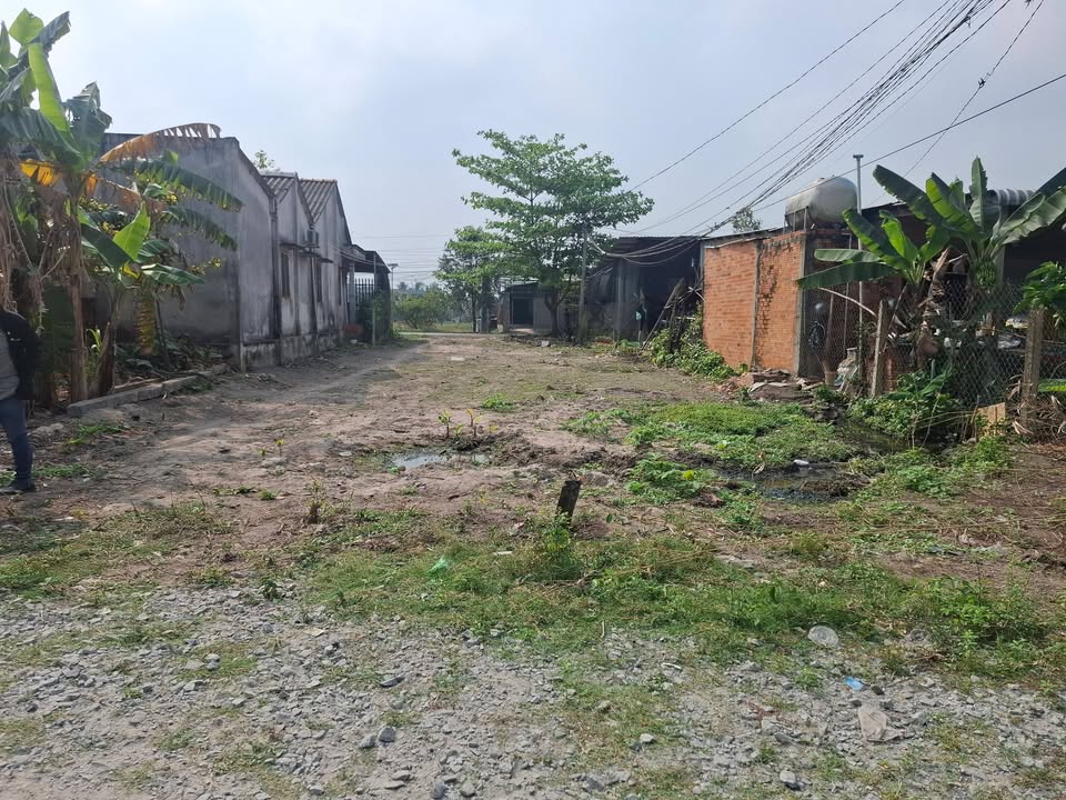 Đất thổ cư 50m² mặt tiền đường Nhơn Hòa 2, Đức Hòa - Giá chỉ 500 triệu!