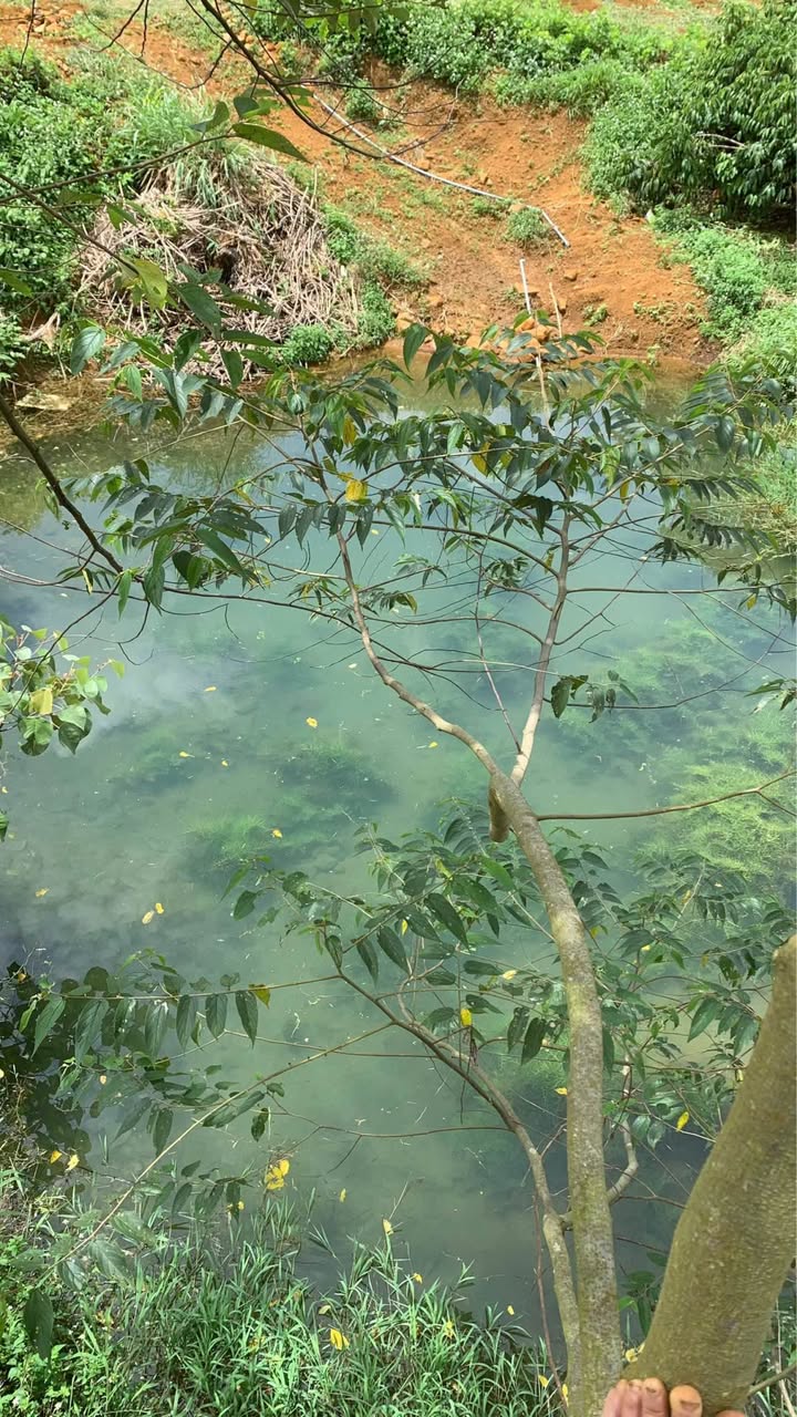 Đất nền Lộc Tân Bảo Lâm 7200m² giá 1.3 tỷ - Sổ đỏ chính chủ, tiện ích đầy đủ!