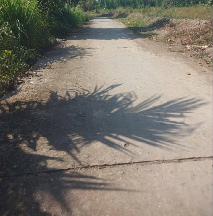 Đất mặt tiền Sông cái Lớn 13000m² giá 1.3 tỷ - Cơ hội đầu tư tuyệt vời!