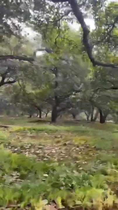 Đất nền Phú Trung, Phú Riềng 29.999m² giá 30 tỷ - Đường ô tô vào tận nơi!