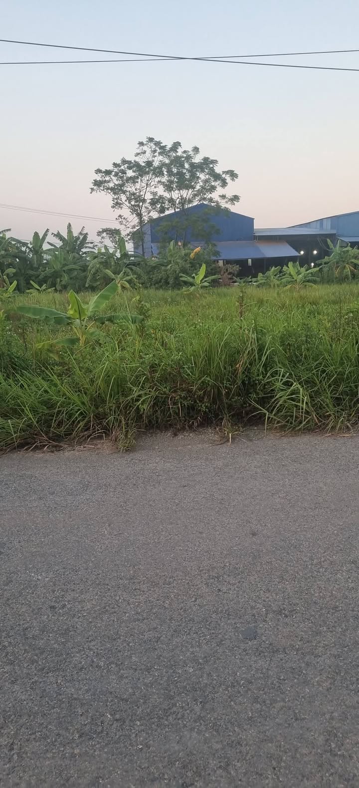 Lô Đất 2 Mặt Tiền Bờ Sông Phúc Thành - Hòa Mạc 100m² - Giá Thỏa Thuận Hợp Lý!