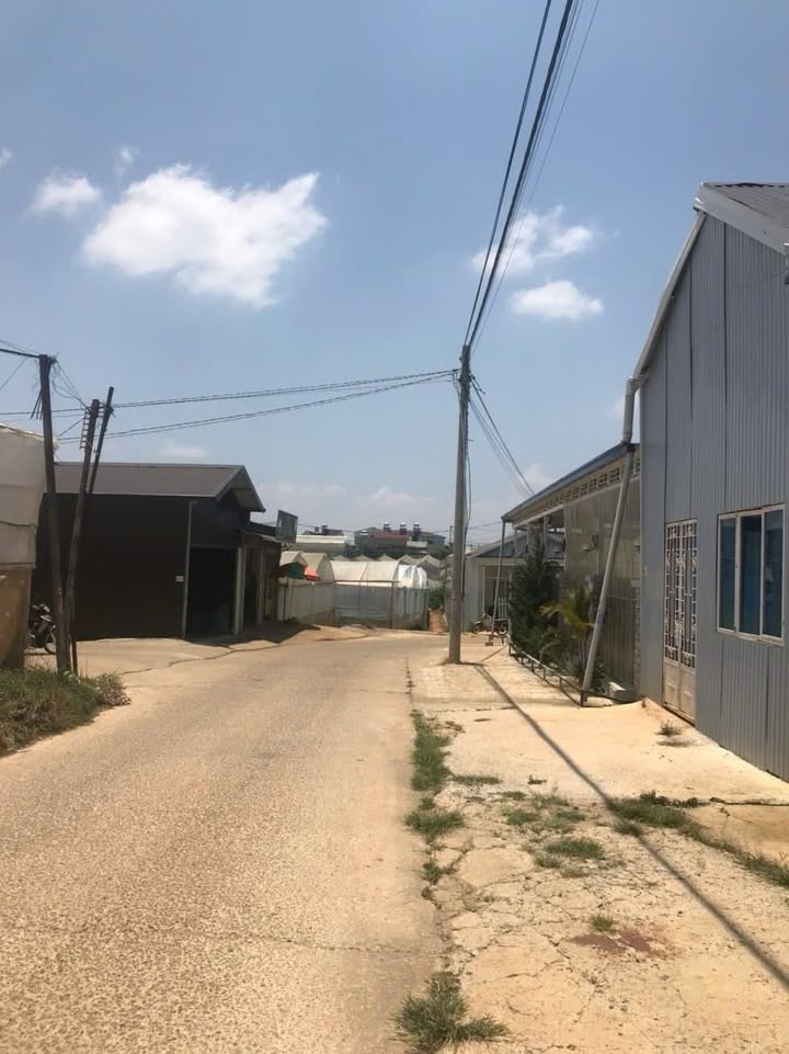 Đất nền 79.55m² Nguyên Tử Lực Đà Lạt giá 950 triệu - Đường ô tô thuận tiện