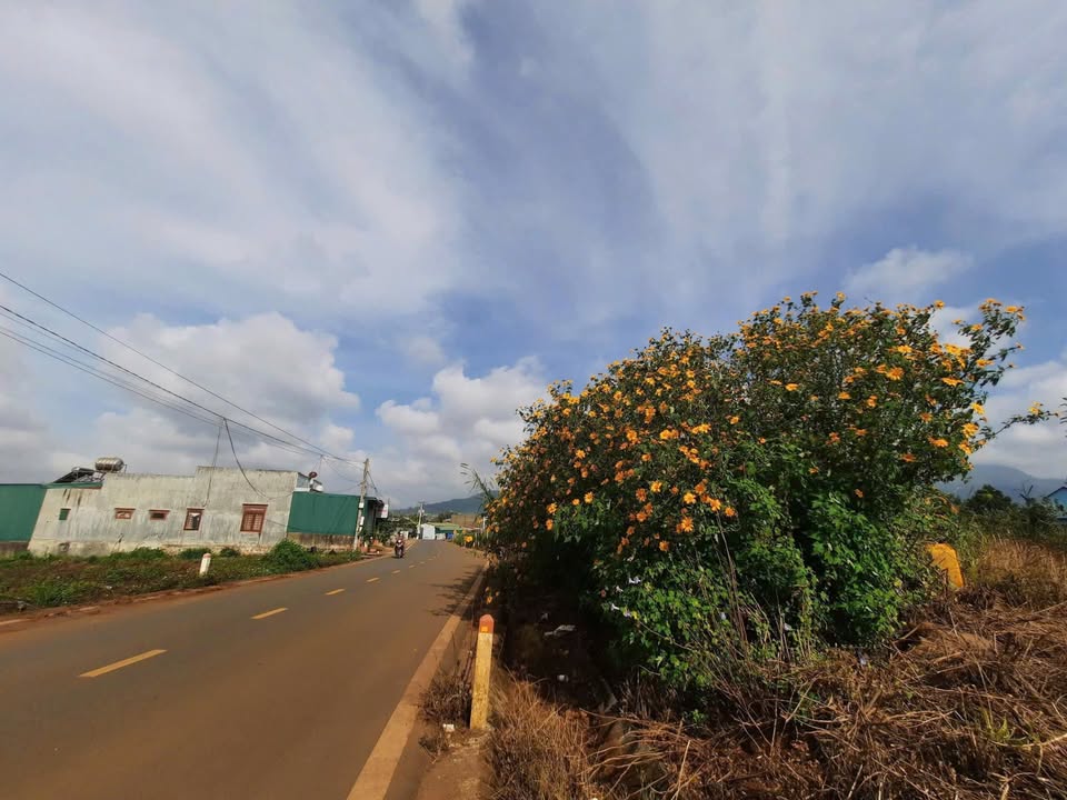 Đất nền Bồng Lai, Hiệp Thạnh 1852m² giá 9 tỷ - Sở hữu ngay view sông Đa Nhim!