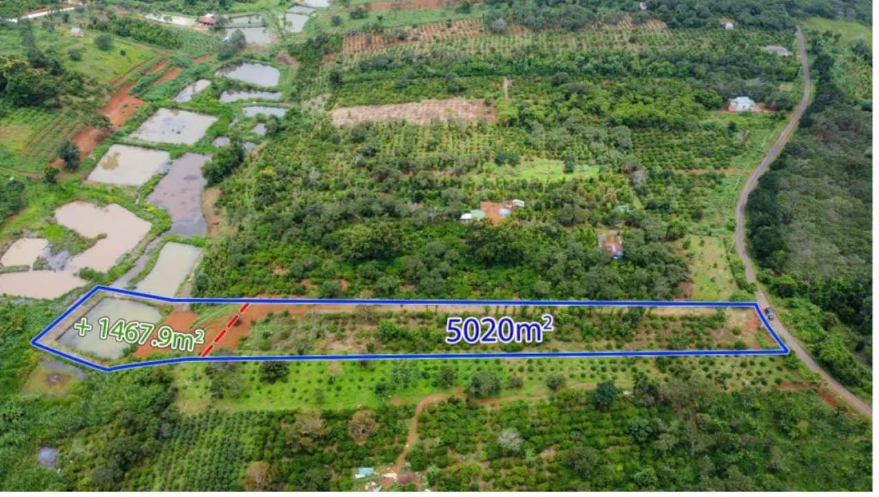 Đất sào Quảng Thành, Gia Nghĩa 6400m² giá 2.3 tỷ - Cơ hội đầu tư hấp dẫn!